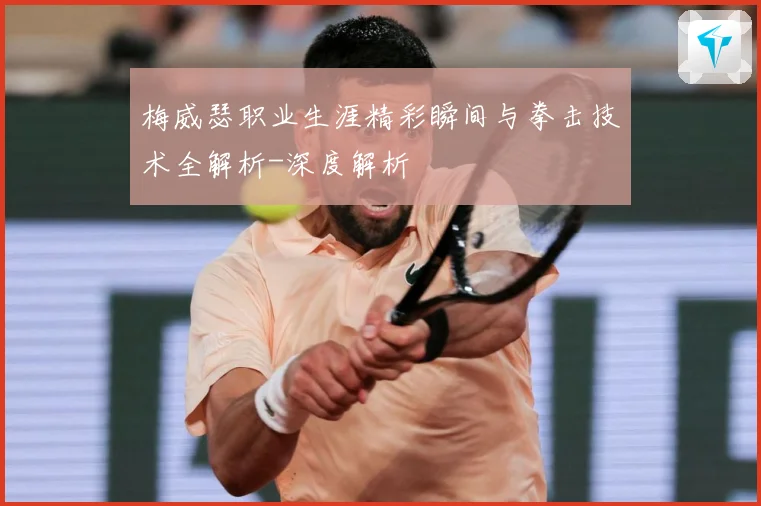 梅威瑟职业生涯精彩瞬间与拳击技术全解析-深度解析