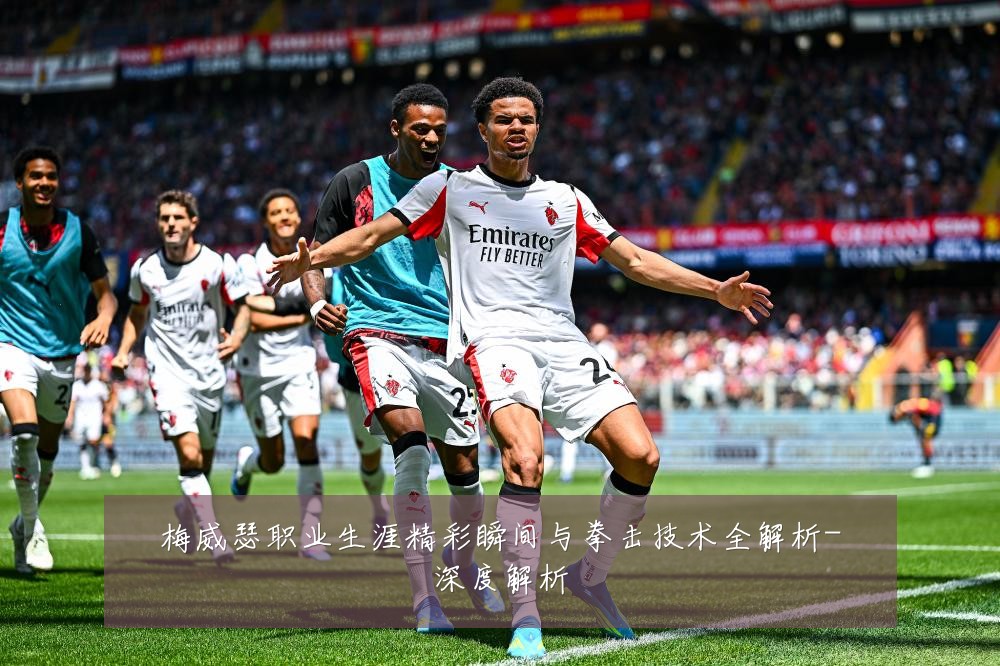 梅威瑟职业生涯精彩瞬间与拳击技术全解析-深度解析